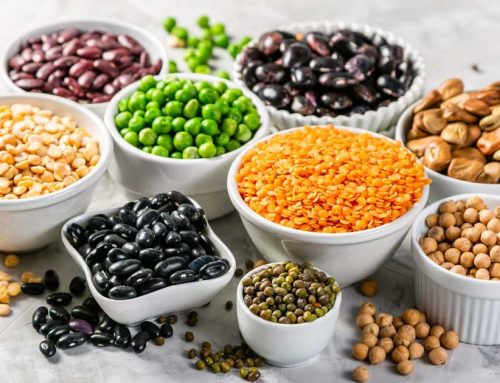 نقش پروتئین های گیاهی در سلامت